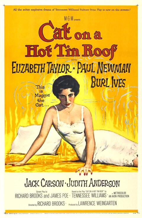 Poster for Cat on a Hot Tin Roof