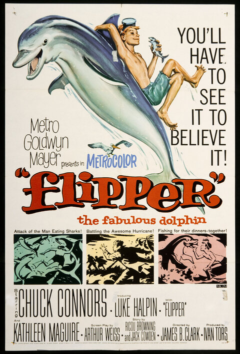 Poster for Flipper