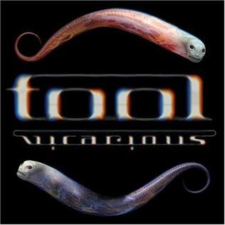 Cover of Vicarious by Tool